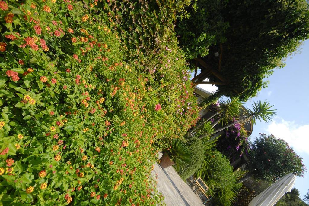 Hotel Danila Portoferraio Ngoại thất bức ảnh
